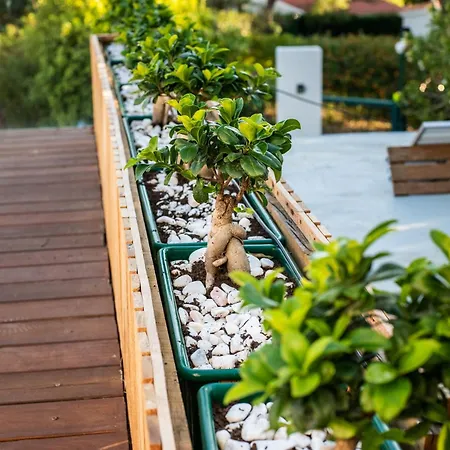 A Energy Bento Box Hot Pool & Sauna